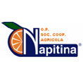 Napitina